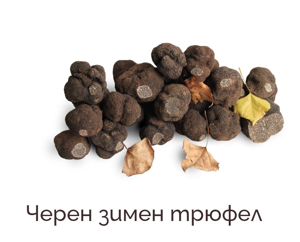 Черен трюфел